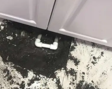 虹口查漏水哪家好